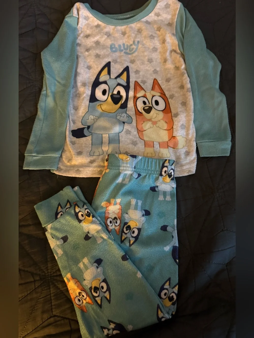 Bluey Kids Two-Piece Pajama Set in Teal & Cream